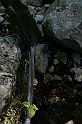 IMG_7404