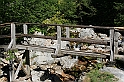 IMG_7408