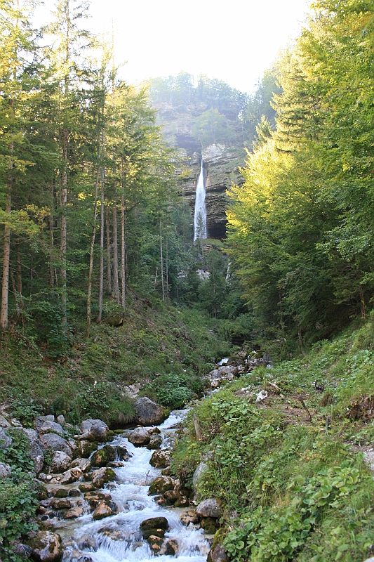 IMG_7455
