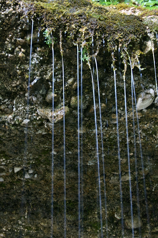 IMG_7474