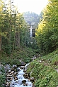 IMG_7455