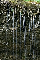 IMG_7474