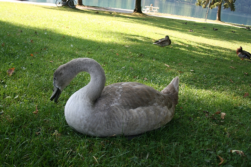 IMG_7491