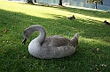 IMG_7491