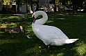 IMG_7492