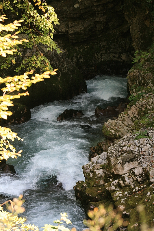 IMG_7520