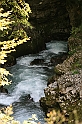 IMG_7520