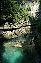 IMG_7539