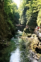 IMG_7545