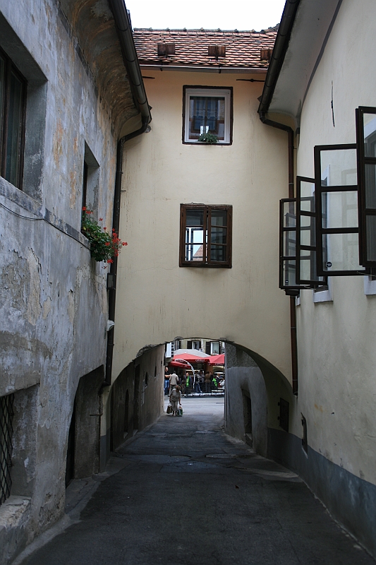 IMG_7789