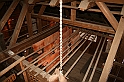IMG_7874