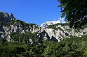 IMG_6146