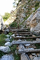 IMG_6163