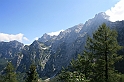 IMG_6176