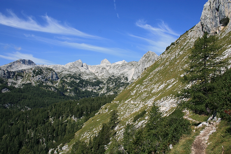IMG_7899