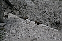 IMG_6236
