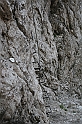 IMG_6260