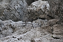 IMG_6261