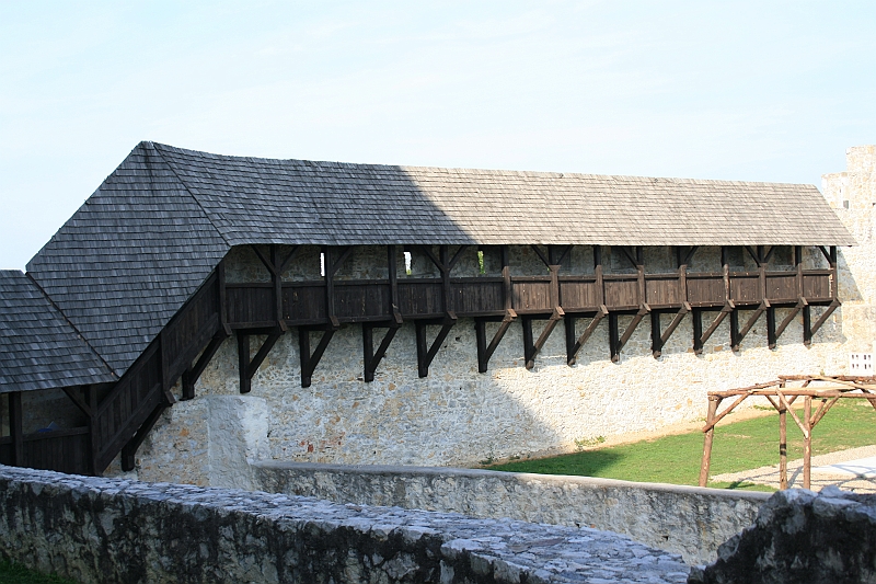 IMG_6351