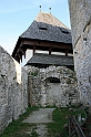 IMG_6349