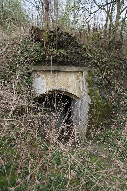 IMG_0566