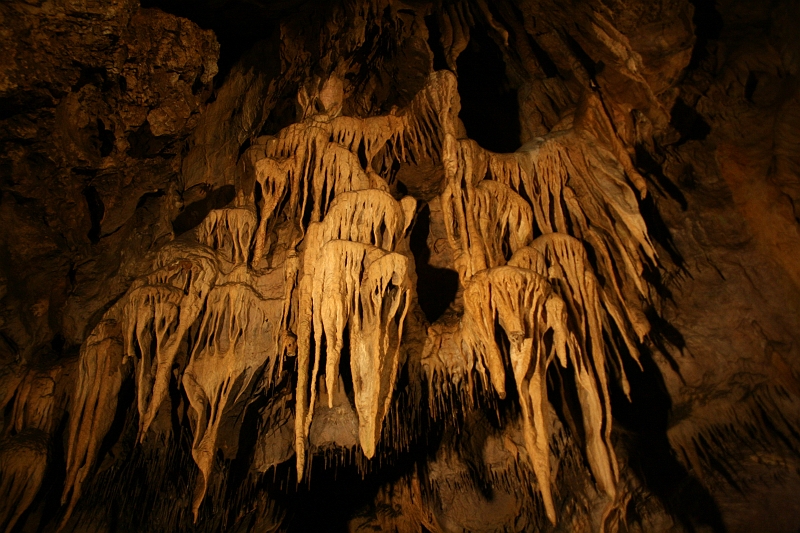 IMG_1731