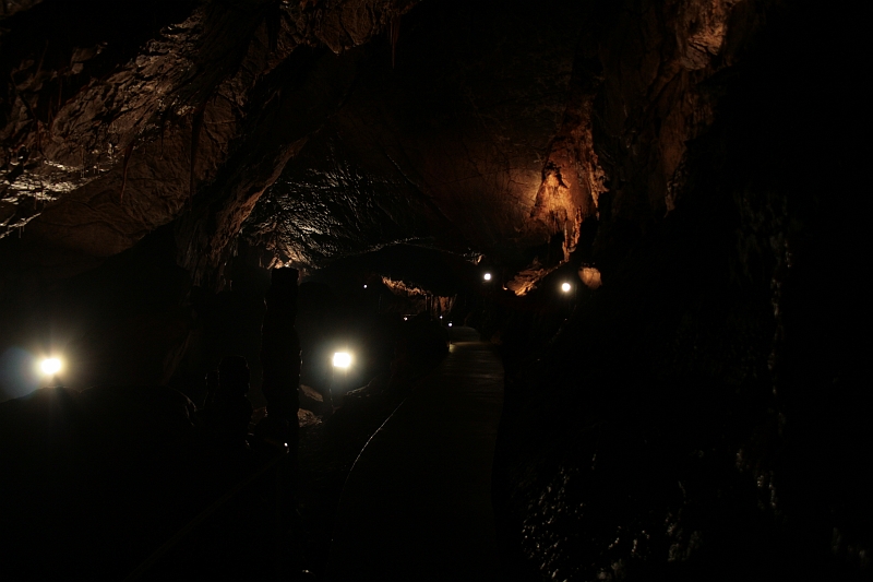 IMG_1876