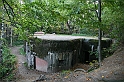 IMG_9881