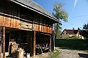 IMG_9600