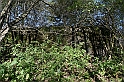 IMG_9659
