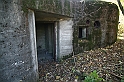 IMG_9684
