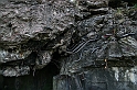 IMG_9791