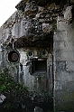 IMG_9793