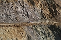IMG_4558
