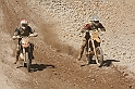 IMG_5206