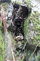 IMG_0210