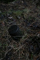 IMG_9828
