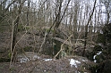 IMG_9874