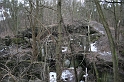IMG_9882