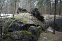 IMG_9989
