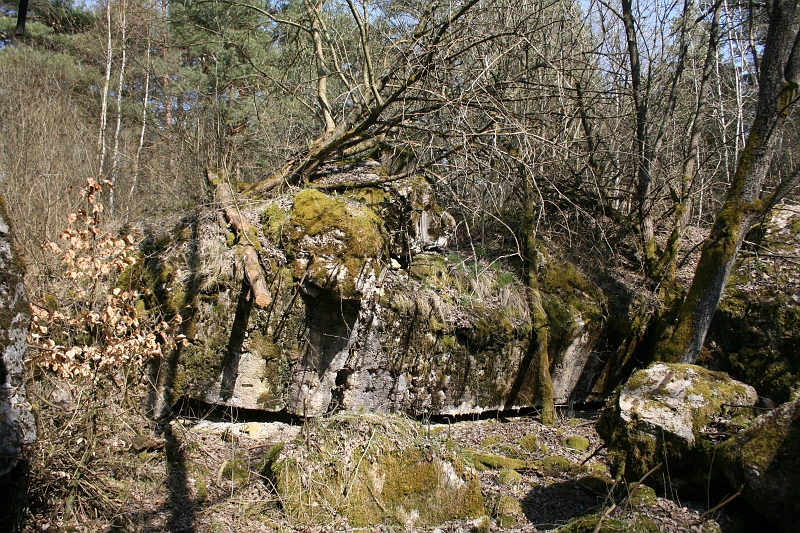 IMG_1001