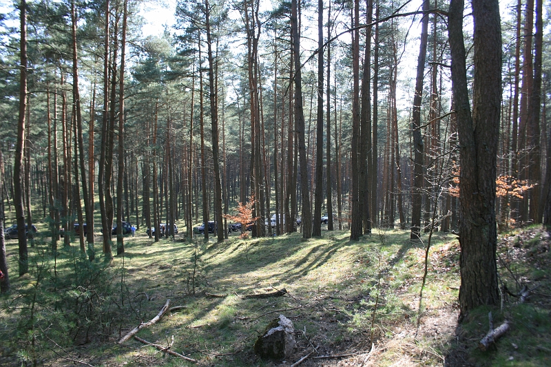 IMG_1028