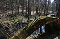 IMG_0894