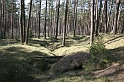 IMG_1014