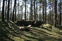 IMG_1027