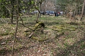 IMG_1397