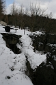 IMG_9311