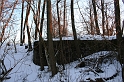 IMG_9428
