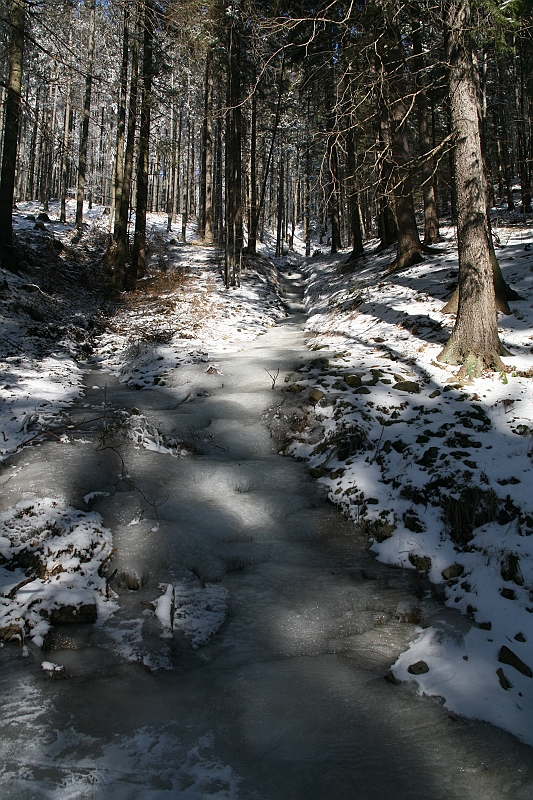 IMG_1776