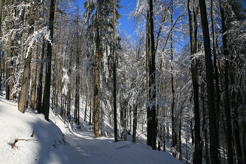 IMG_1787